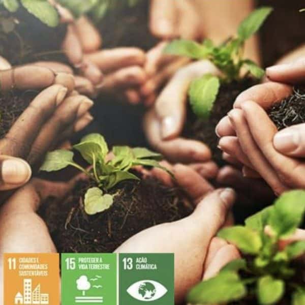 Programa de Voluntariado da Neoenergia