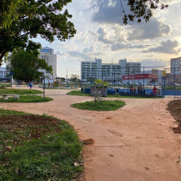 Perigo ao passear com cachorros no Parque Sul