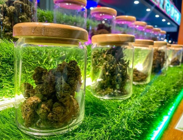 STF Define Limite de 40g para Porte de Maconha