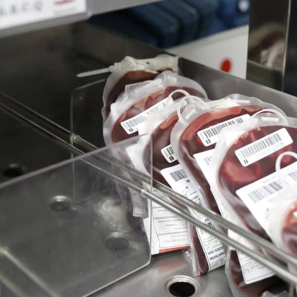 Hemocentro amplia prioridade para doadores de sangue raros