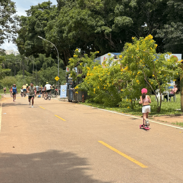 Parque Ecológico de Águas Claras: um refúgio natural no coração da cidade
