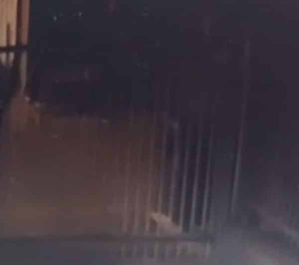 Tentativa de invasão em condomínio acende alerta de segurança em Águas Claras