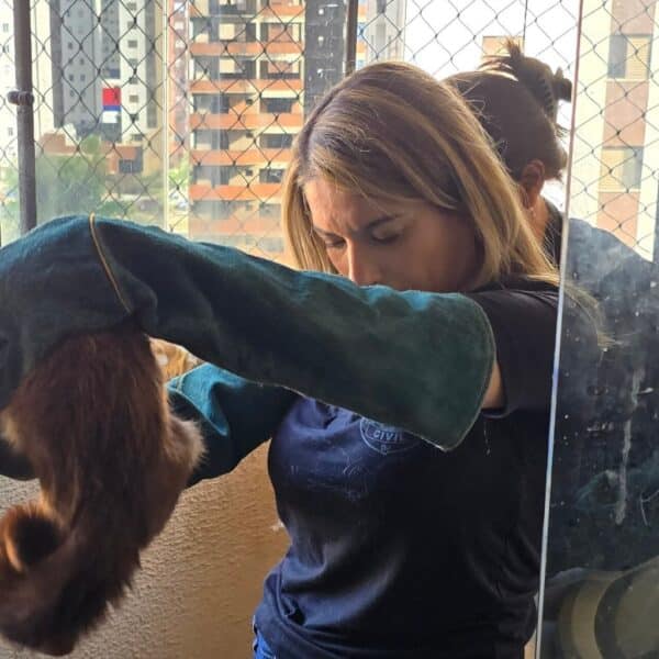 Mulher é presa em flagrante por maus-tratos a animais em Águas Claras