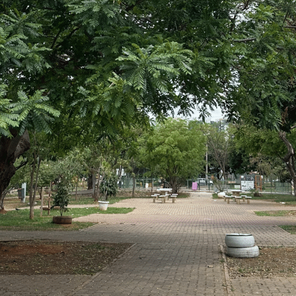 De Olho na Praça: moradores da Quadra 301 denunciam abandono e material tóxico na Praça das Gaivotas