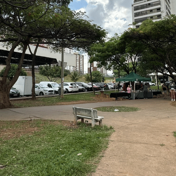 De Olho na Praça moradores denunciam deterioração na Praça Norte