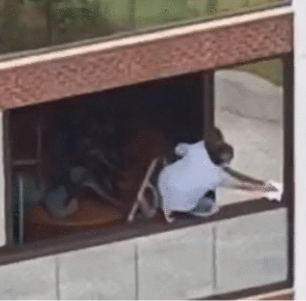 Vídeo mostra mulher em janela para limpar vidro e assusta vizinhos em Águas Claras