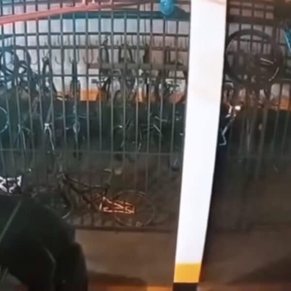 Furto de bicicleta acende alerta de segurança em condomínios de Águas Claras
