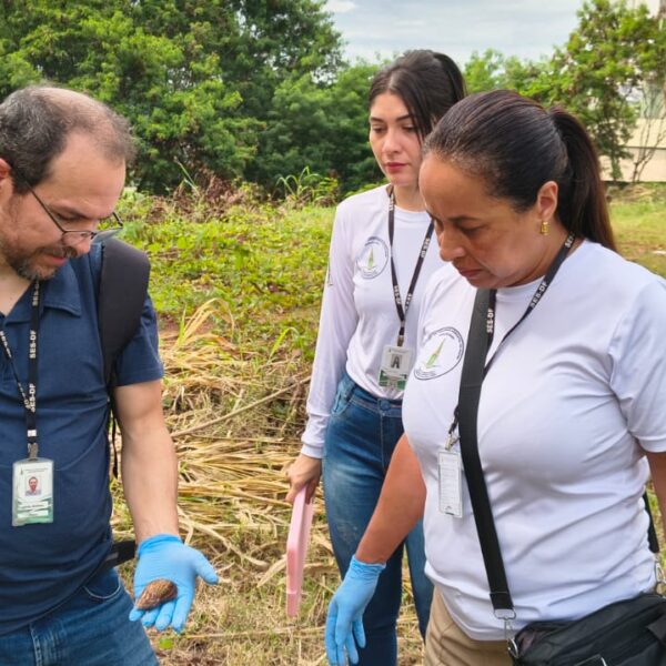 Vigilância Ambiental realiza vistoria e orienta moradores sobre controle de caramujos em Águas Claras