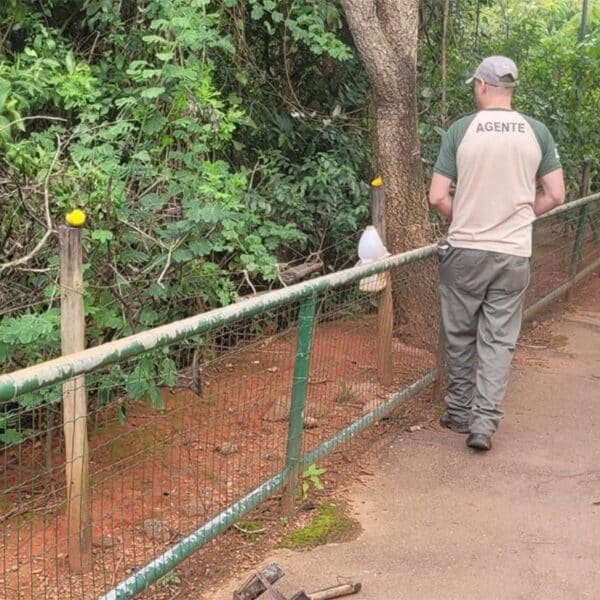 Parque de Águas Claras retira comedouros irregulares e reforça alerta contra alimentação de animais
