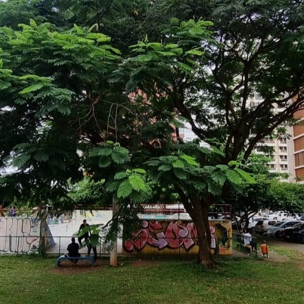 De Olho na Praça: comunidade cobra manutenção e mais atenção na Praça Flautim