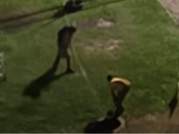 Furtos de cabos se repetem por três noites seguidas e moradores denunciam insegurança em Águas Claras